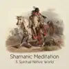 Shamanic Meditation & Spiritual Native World: New Age Shamanic Music and Native Flute, Drums Collection, Healing Meditation & Spiritual Journey, Healthy Dreams album lyrics, reviews, download