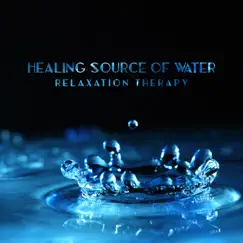 Healing Source of Water: Relaxation Therapy - Cleanse Your Soul, Remove Negative Energy, Unwanted Emotions & Stress by Mindfullness Meditation World, Natural Healing Music Zone & Calming Water Consort album reviews, ratings, credits