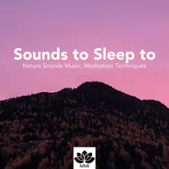 Sounds to Sleep to: Nature Sounds Music, Meditation Techniques for Stress Mind Relaxing Music by Sleep Harmony album reviews, ratings, credits