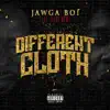 Different Cloth (feat. Badd Newz) - Single album lyrics, reviews, download