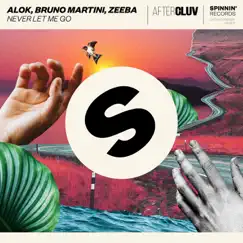 Never Let Me Go - Single by Alok, Zeeba & Bruno Martini album reviews, ratings, credits