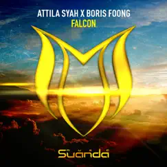 Falcon - Single by Attila Syah & Boris Foong album reviews, ratings, credits