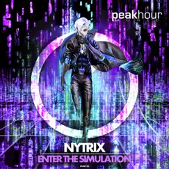 Enter the Simulation - Single by Nytrix album reviews, ratings, credits