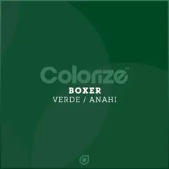 Verde (Extended Mix) Song Lyrics