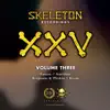 Skeleton XXV Project Volume Three - EP album lyrics, reviews, download