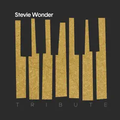 A Tribute to Stevie Wonder by Various Artists album reviews, ratings, credits