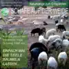 Schafe auf der Weide - Glockenkonzert mit blökenden Schafen - Naturklänge zum Entspannen (feat. sheep) album lyrics, reviews, download