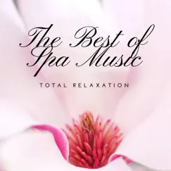 The Best of Spa Music: Total Relaxation, Ultimate Wellness Center for Sleep and Massage, Pure Nature Sounds Inner Peace by Zen Arena & Meditation Masters album reviews, ratings, credits