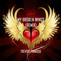Broken Wings (Remix) - Single by Trevor Pinnock album reviews, ratings, credits