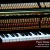 Piano Works album lyrics, reviews, download