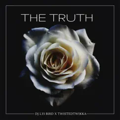 The Truth (feat. Twistedtwikka) Song Lyrics