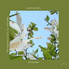Slow Motion (feat. Sam Sure) [Boston Bun & Punctual Remixes] - EP by The Magician & TCTS album reviews, ratings, credits