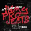 In My Projects (feat. J Dubb & Lingo) - Single album lyrics, reviews, download