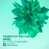 Awake (feat. Molly Bancroft) [The Remixes] - EP album lyrics, reviews, download