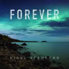 Forever - Single by Nigel Stanford album reviews, ratings, credits