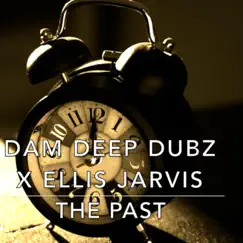 The Past - Single by Dam Deep Dubz album reviews, ratings, credits