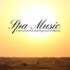 Spa Music: Instrumental Background Music for Wellness Centers, Calm Mind, Therapy for Relaxation, Beauty Treatments album lyrics, reviews, download