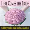 Here Comes the Bride (Wedding Preludes, Bridal Marches, Canon In D) album lyrics, reviews, download