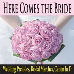 Wedding March (Piano Exit Recessional) Song Lyrics