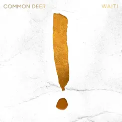 Wait! - Single by Common Deer album reviews, ratings, credits