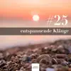 #25 entspannende Klänge: Naturgeräusche, tropischer Strand, New-Age-Musik album lyrics, reviews, download