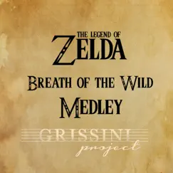 Medley Zelda Breath of the Wild: Main Theme / On Horse / Rito Village / Hyrule Castle / Beast Ganon Song Lyrics