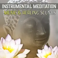 Instrumental Meditation Music & Healing Sounds: Relax Mind and Body - Yoga for Inner Peace, Calm and Relaxation by Spiritual Meditation Vibes album reviews, ratings, credits