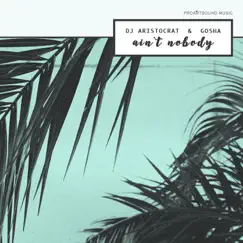 Ain't Nobody - Single by DJ Aristocrat & Gosha album reviews, ratings, credits
