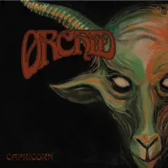 Capricorn by Orchid album reviews, ratings, credits