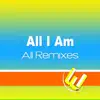 All I Am (All Remixes) - Single album lyrics, reviews, download