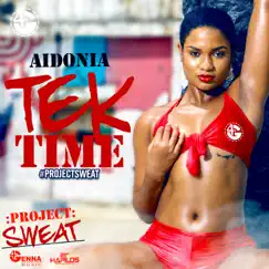Tek Time - Single by Aidonia album reviews, ratings, credits