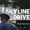 Skyline Drive - Single album lyrics, reviews, download
