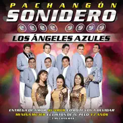 Pachangón Sonidero by Los Ángeles Azules album reviews, ratings, credits