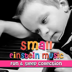 Small Einstein Music: Fun & Sleep Collection, Sleep Baby Piano Lullabies, Cognitive Development by Piano Bar Music Oasis album reviews, ratings, credits
