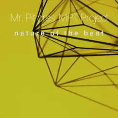 Nature of the Beat - Single by Mr. Pit album reviews, ratings, credits