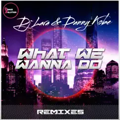 What We Wanna Do (PoKy3o FX Remix) Song Lyrics