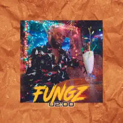 02:00 - Single by Fungz album reviews, ratings, credits