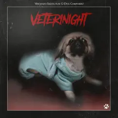 Veterinight (feat. G Dog Composer) - Single by Vincenzo Salvia album reviews, ratings, credits
