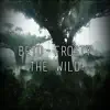 The Wild (feat. Frosty) - Single album lyrics, reviews, download