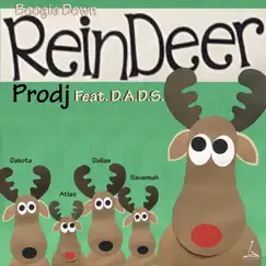 Boogie Down Reindeer (feat. D.A.D.S.) Song Lyrics