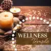 Wellness Temple – Zen Spa with Healing Nature Sounds, New Age Music, Ambient Music for Shiatsu Massage album lyrics, reviews, download