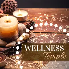 Wellness Temple – Zen Spa with Healing Nature Sounds, New Age Music, Ambient Music for Shiatsu Massage by Area Zen album reviews, ratings, credits