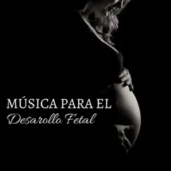 Música para el Desarollo Fetal - La Mejor Música para Estimular la Inteligencia del Bebe en el Vientre Materno by Ritmo del Feto & Yoga Para Embarazadas album reviews, ratings, credits