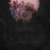 Katharsis - Single album lyrics, reviews, download