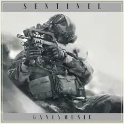 Sentinel Song Lyrics