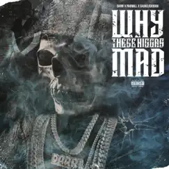 Why These N****s Mad (feat. Paid'will & Cashclickboog) Song Lyrics