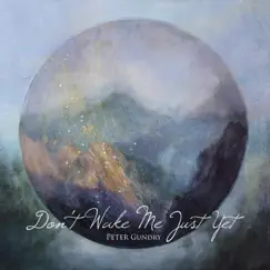 Don't Wake Me Just Yet by Peter Gundry album reviews, ratings, credits