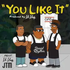 You Like It (feat. Mo Musiq & JTM) - Single by David Rhythm album reviews, ratings, credits