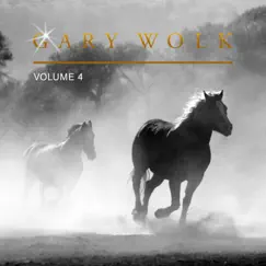 Gary Wolk, Vol. 4 by Gary Wolk album reviews, ratings, credits