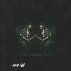 Never Did - Single by Silver Age album reviews, ratings, credits